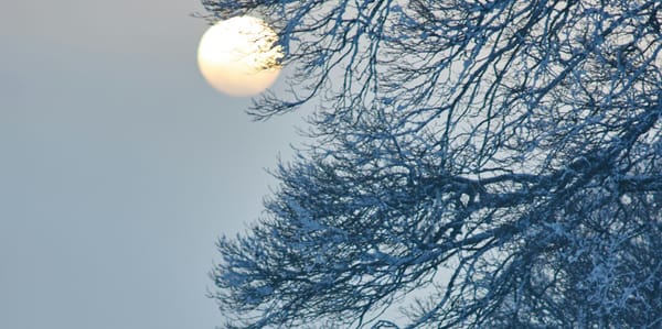 Rituels de solstice d'hiver : renouer avec la lumière